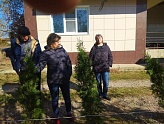 ЭНЕРГОСБЫТ САЖАЕТ КИПАРИСЫ ЭНЕРГОСБЫТ САЖАЕТ КИПАРИСЫ